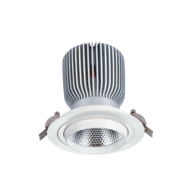 嵌入式射燈 DW-CC-1010