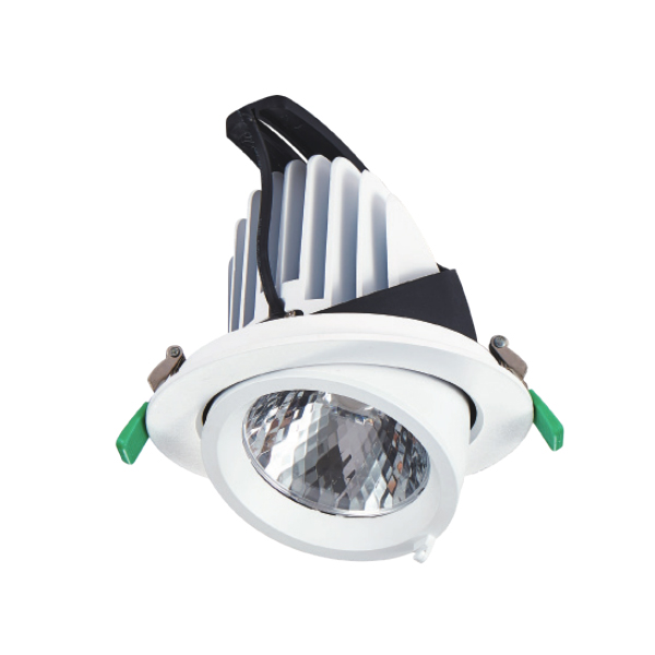 象鼻射燈 |   DW-CC-1015