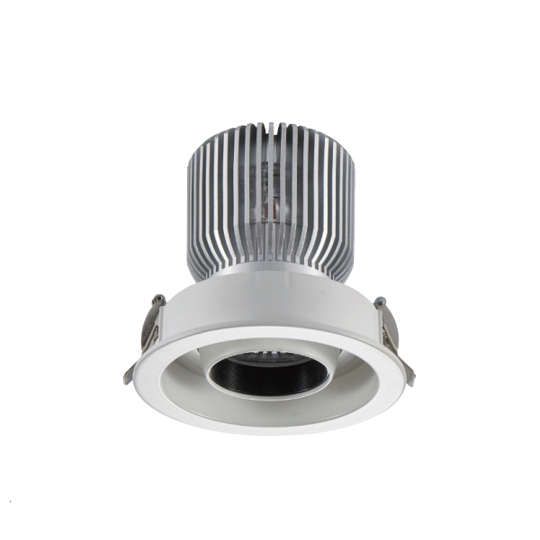 嵌入式射燈 DW-CC-1011