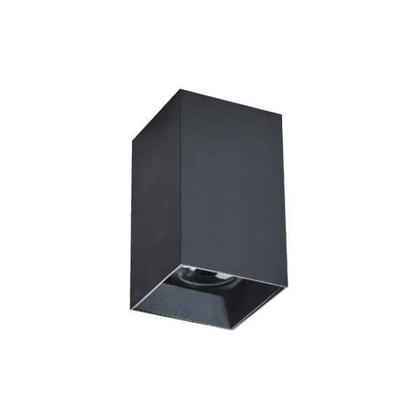 明裝筒燈 |  DW-CC-1053