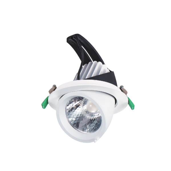 象鼻射燈 |   DW-CC-1013