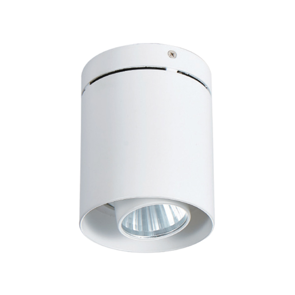 明裝筒燈 |  DW-CC-1057