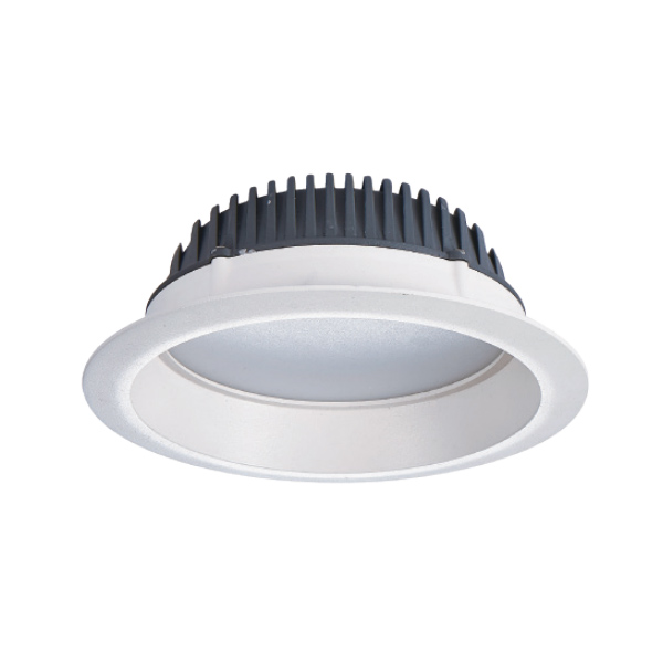 筒燈 |  DW-TD-1009