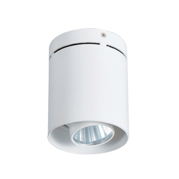 明裝筒燈 |  DW-CC-1056