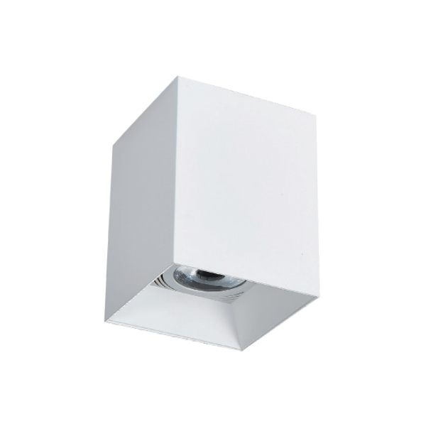 明裝筒燈 |  DW-CC-1054