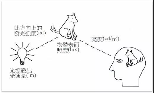 17年專注服裝品牌照明人-藝明王照明