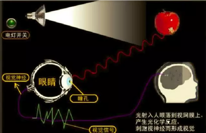 商業(yè)店鋪照明要點和燈光設(shè)計手法